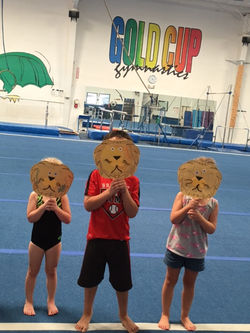 albuquerque gymnastics