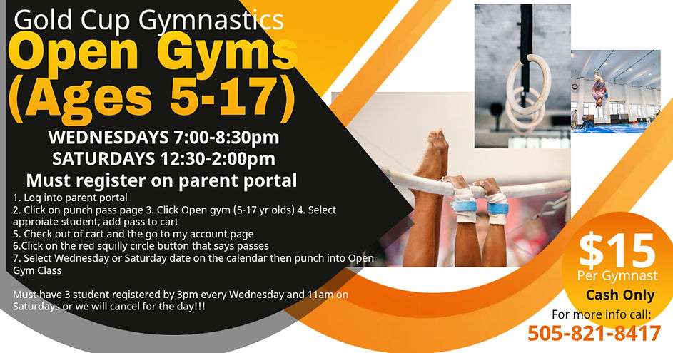 Gymnastics clinic advertisement banner (2).jpg