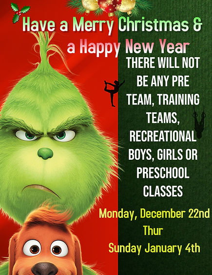 Copy of Grinch Christmas Sale (3).jpg