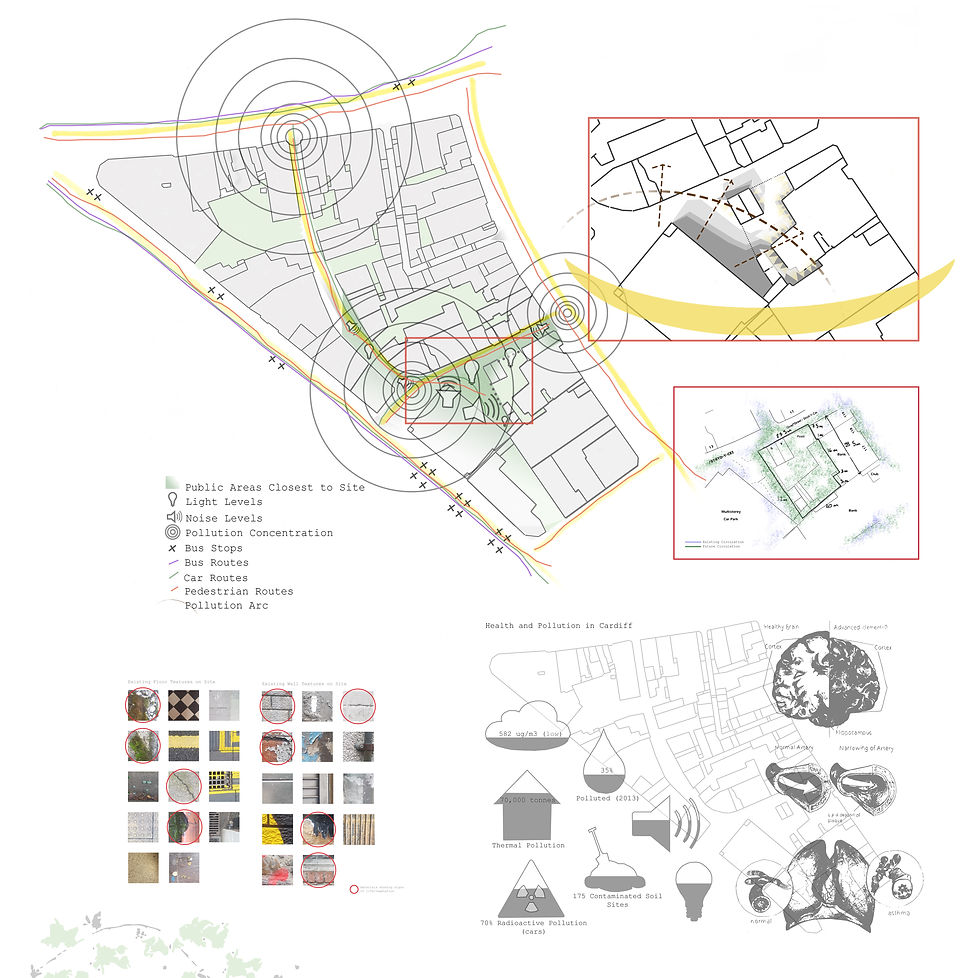 Site