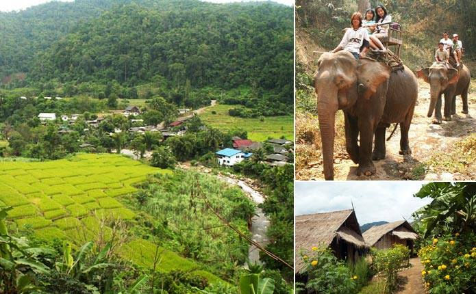 Miniatura: Montar con elefantes en Chiang Mai