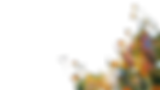 back.png