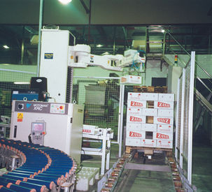 Robotic Box Palletising