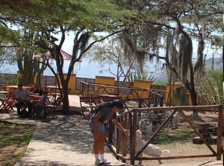Parque de las Cabras3