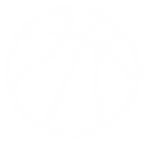 WGRC_Basketball Icon.png