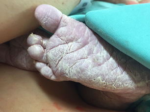 Vernix_Crème de la crème |  ורניקס_עטיפת מתנה