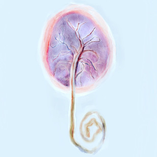 השהייה בניתוק חבל הטבור דקות של חסד