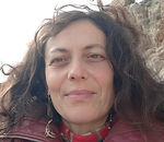 Illustration Roses jaunes 