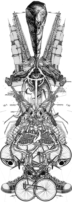 print 1 copy (5).tif