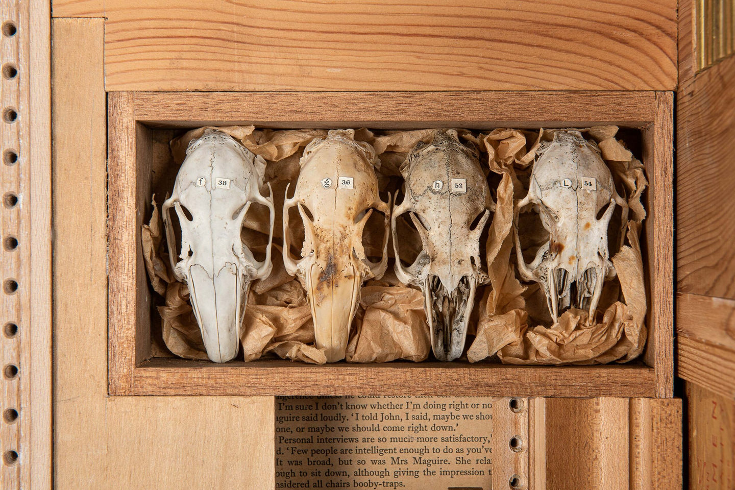 Lesley Hilling
The Soldier (Detail)