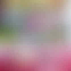 Cheap Birthday Party DJ