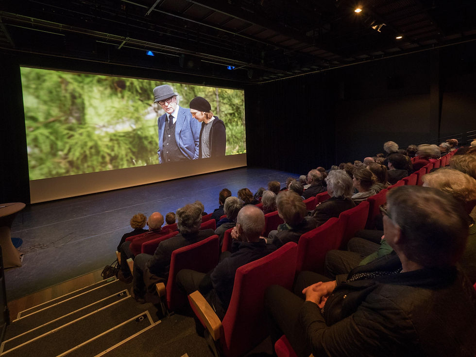 filmhuis-2_1775172732.jpeg
