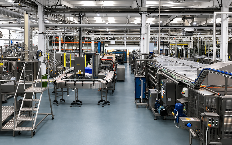 Process and Packaging Line Installed by ESP