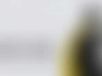 ¿Qué pasa si dejo de pagar mi seguro?