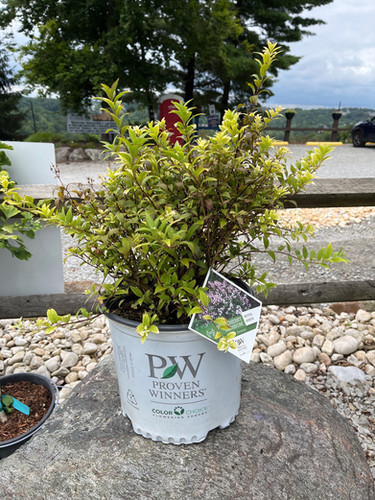 【やま】DAINICHI FW-3718GR(W) GR TYPE | 家庭用石油ファンヒーター | 製品紹介 | ダイニチ工業株式