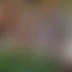 beachfront massages in Costa Maya