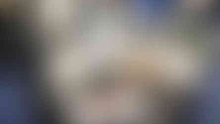 Bajio Best Eyeweat ICAST