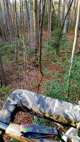 There's nothing like being in a treestan