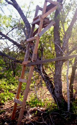 Looks sturdy and easy to fall from