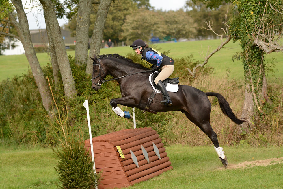 South of England Horse Trials 2019