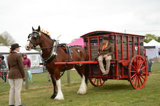 DSC_8461.JPG