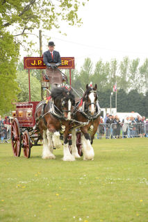 DSC_8406.JPG
