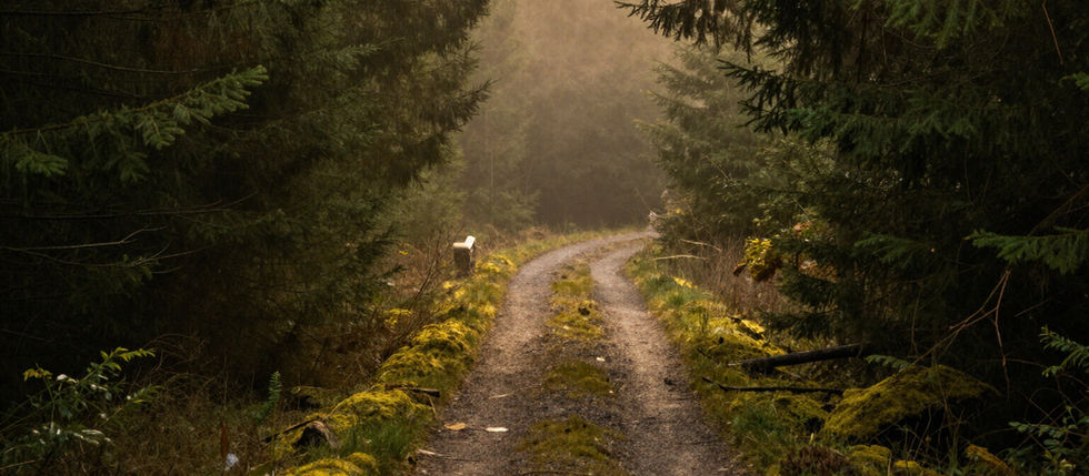 Walk by Faith: Trusting The Unseen PATH