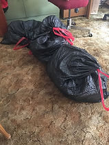 IMG_2252.jpeg