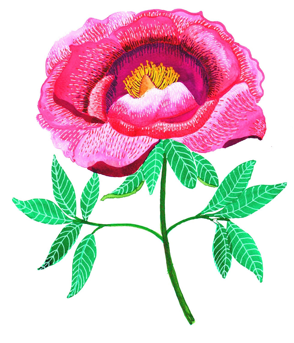 Thumbnail: Flower Garden Greeting Cards -Boxed Set of 6