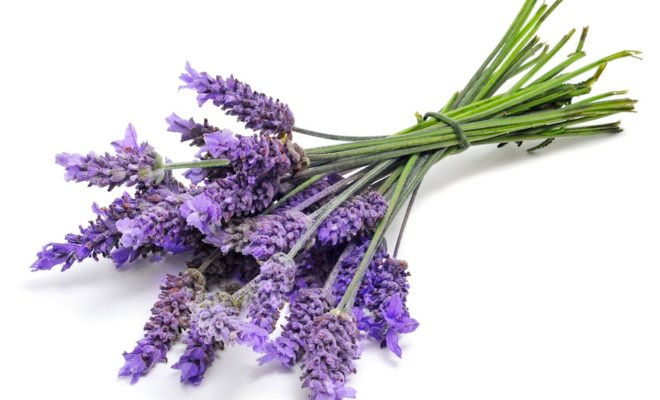 Miniatura: 100% Natural Calming Lavender Whipped Sheabutter 