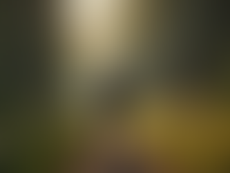 Stay Active with Low-Impact Workouts for Women