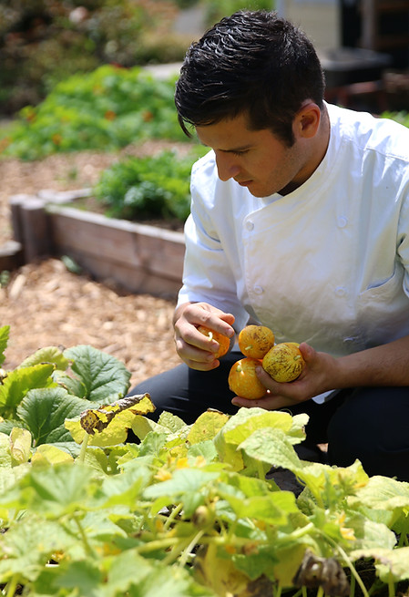 eat local mendocino