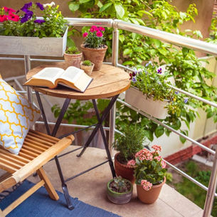 🌿 Balconi e terrazzi fioriti: le migliori piante per la primavera 🌸