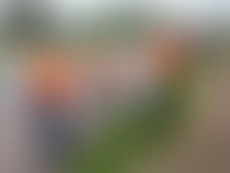 Vereadores avaliam projeto que obriga nivelamento de bueiros