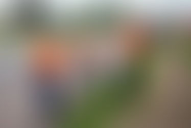 Vereadores avaliam projeto que obriga nivelamento de bueiros