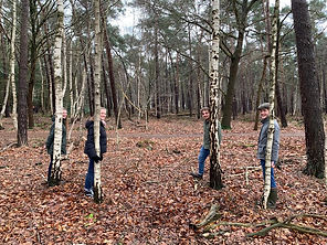 equipe.2.jpeg