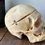 Thumbnail: Real Human Skull