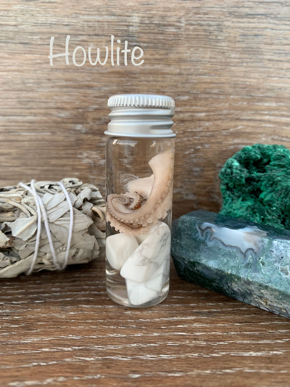 Thumbnail: Wet Specimen Octopus Tentacles With Stones 