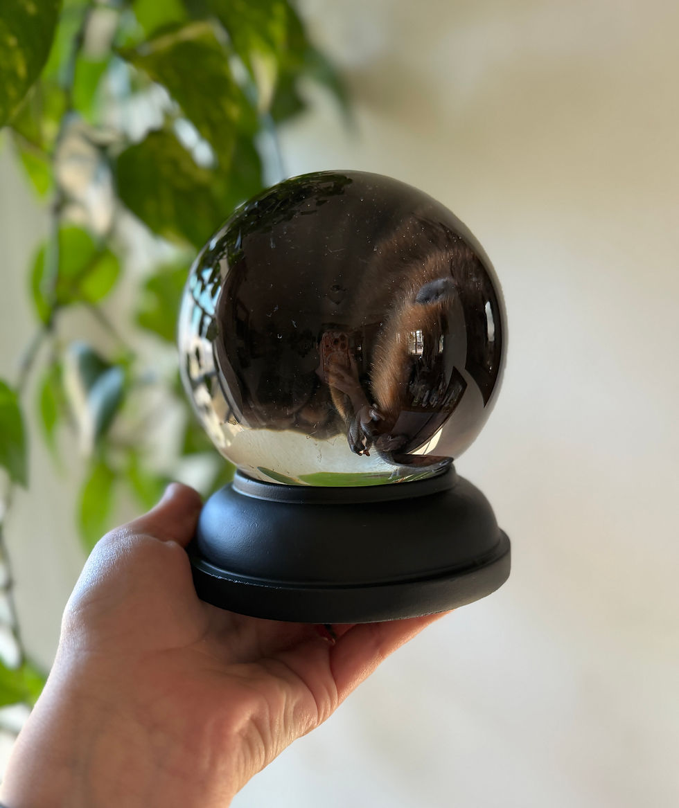 Thumbnail: Fetal Beaver Wet Specimen in 120mm Glass Globe