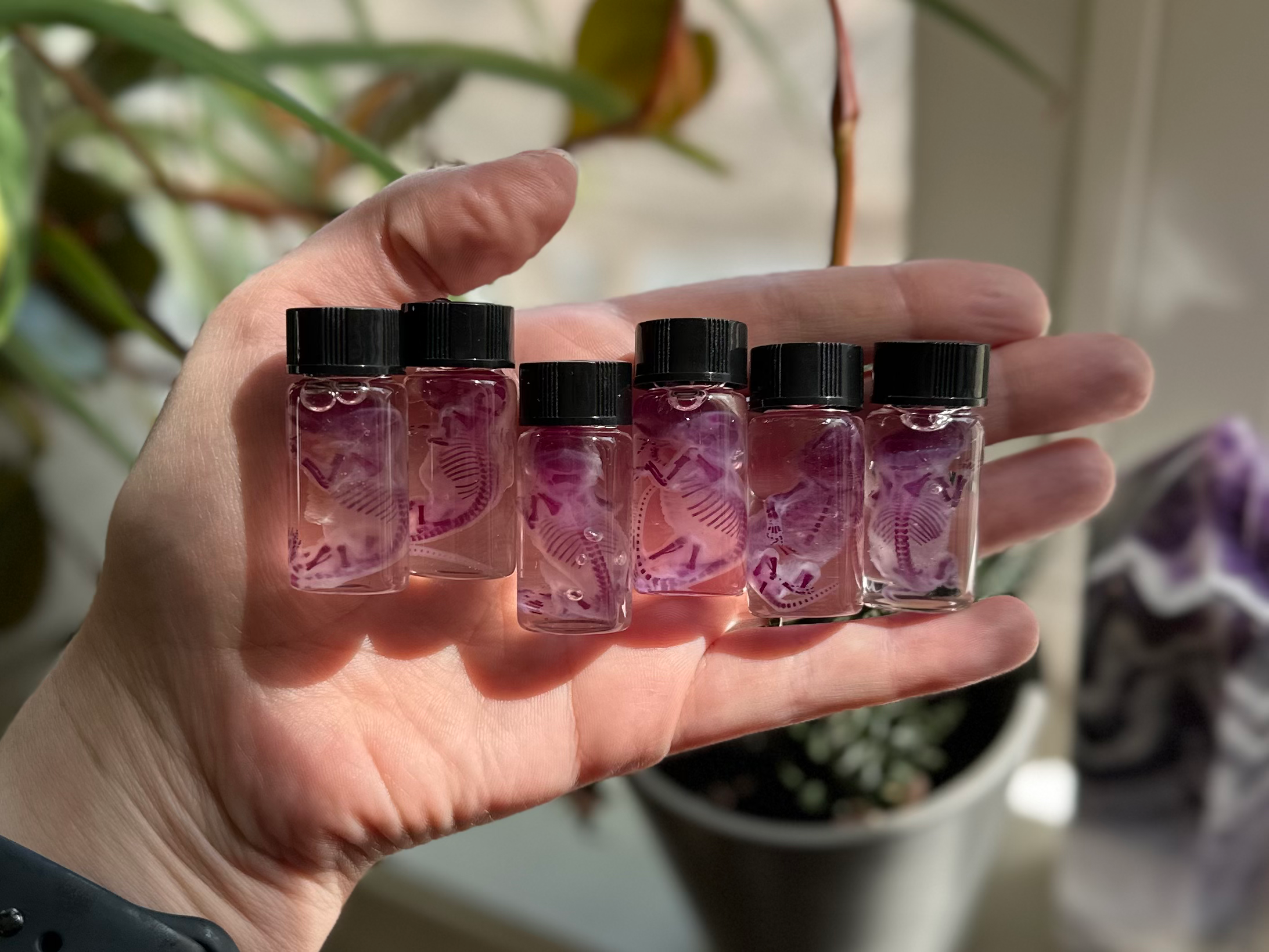 Diaphonized pinky mouse / Mice & wholesale