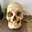 Thumbnail: Real Human Skull
