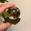 Thumbnail: Wet Specimen Quail in Glass Globe