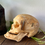 Thumbnail: Real Human Skull