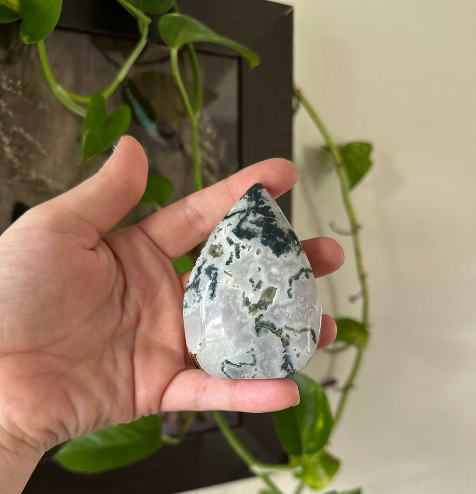 Thumbnail: Moss Agate 