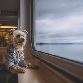 Career is not a destination, but a journey?