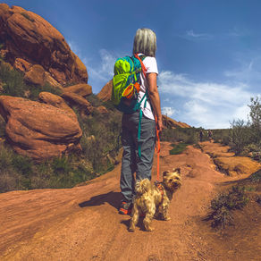 Career is truly a journey