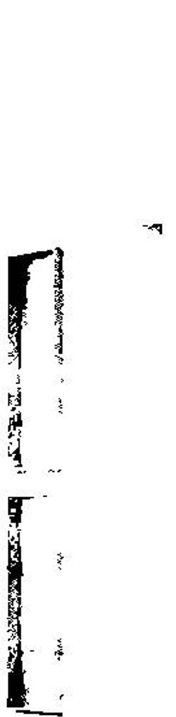 Invesco Village Slides_Page_15_Image_0002