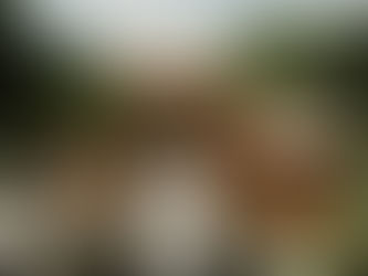 Better Than Business As Usual:The Art (and Science) of High-Performance Construction