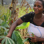Ndoh Elizabeth gathers greens for a project of the Limbe Wildlife Centre, Limbe, Cameroon. Photo credit: Jessica Brown