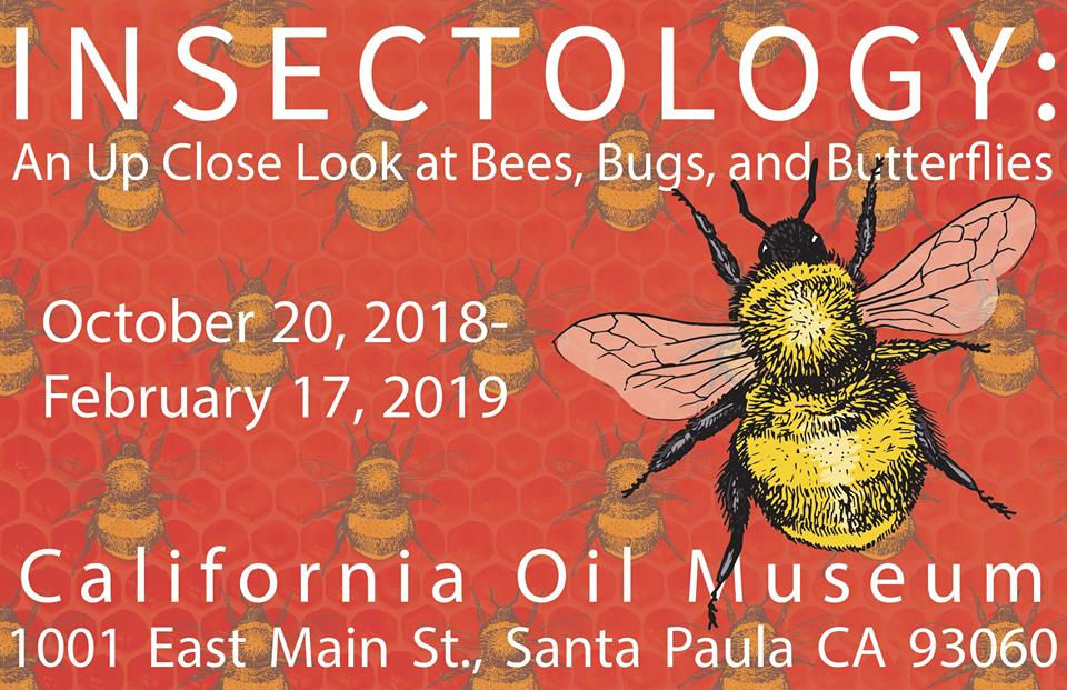 POSTCARD_INSECT
